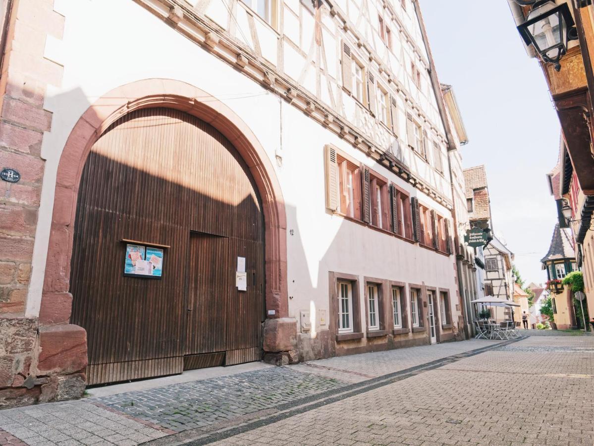 Le Haut Relais Des Seigneurs - 5 Mn Royal Palace De Kirrwiller Bouxwiller  المظهر الخارجي الصورة